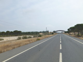 Parque Doñana zona Playa Cuesta Maneli en Huelva, zona costera con playa de arena fina blanca que...