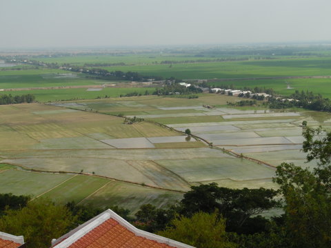 vitnam