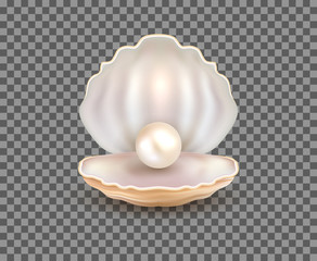 Pearl open shell realistic illustration. Natural beautiful single pearl sea jewelry isolated - obrazy, fototapety, plakaty