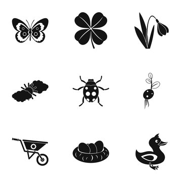 Kaleyard icons set. Simple illustration of 9 kaleyard vector icons for web