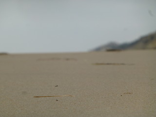 Playa Cuesta Maneli en Huelva, zona costera con playa de arena fina blanca que forma parte del Parque de Doñana