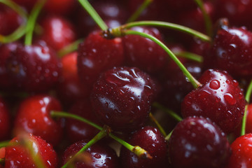 bright and juicy cherry fruit, fruit texture