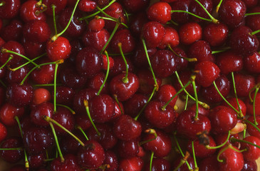 bright and juicy cherry fruit, fruit texture