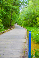 Treated Lumber Trail