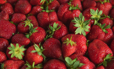 bright and juicy strawberries, the texture of the berries