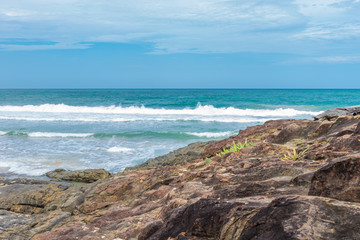 Fototapeta na wymiar Itacare nature and beach in Bahia