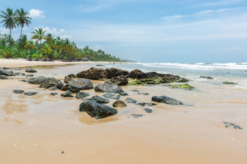 Beautiful beach nature near Itacare in Bahia
