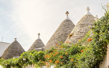 Fototapeta na wymiar Typical trulli buildings in Alberobello, Apulia, Italy