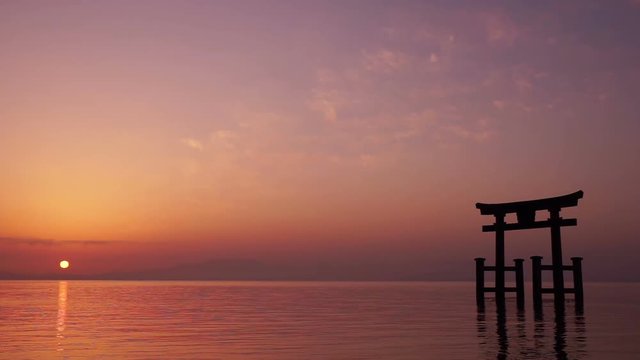 夜明けの白髭神社の鳥居