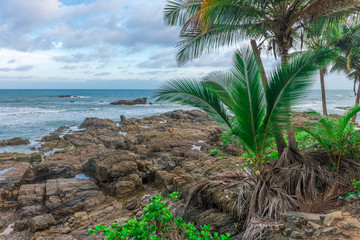 View of rocky beach at late afternoon