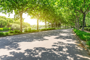 empty asphalt road and green woods,sunlight and shadows