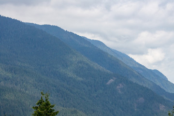 layered mountain range covered by forest under hazy cloudy day