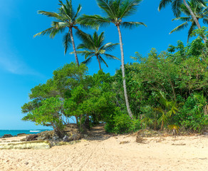 Sandy walkway at  barra grande beach in  Brazil