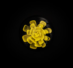 Glass yellow flower