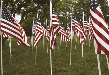 Group of American flags in Haymarket Virginia.