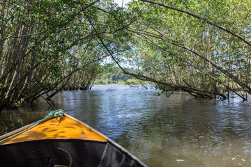 Boat ride getting out of a mangrove