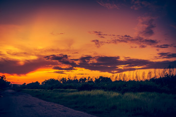 Obraz premium landscape of orange sky with sunlight above silhouette of trees. Colorful sunrise in the morning or sunset in the evening.