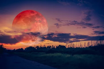 Foto op Plexiglas Landscape of sky with bloodmoon at night. Serenity nature background. © kdshutterman