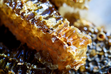 Macro of Fresh Natural Honeycomb