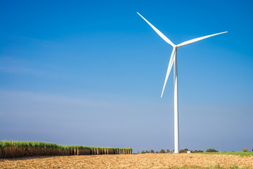 Wind turbines generating electricity with blue sky