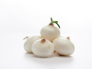 White onion  on white background