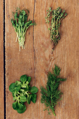 Set variety organic herbs wooden table top view Pea green sprouts dill thyme mache leaves