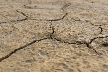 Obraz premium Crack of soil