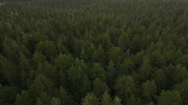 Tilt up from a Mountain Range. Drone Shot
