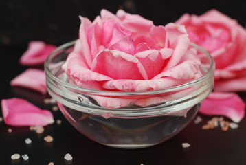 Pink Rose Flower in Soft Color, selective focus, Spa and Beauty Concept Black Background Copy space. Pink flower and Relax Salt.