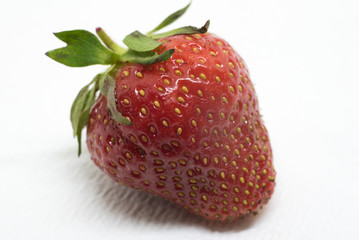 Close View of Fresh Strawberry