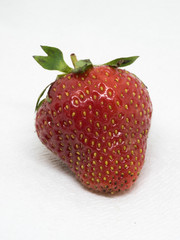 Close View of Ripe Strawberry