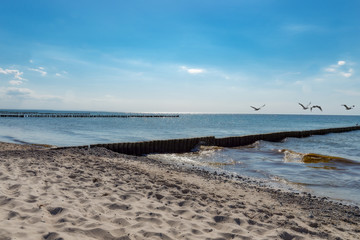 Ostsee, Strand, Bunen