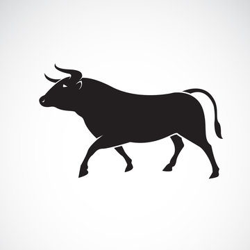 Vector of bull design on white background, Wild Animals, Vector illustration. Easy editable layered vector illustration.