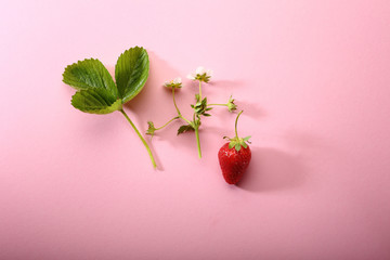 Strawberry set on pink