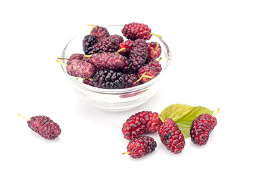 Fresh mulberry in glass bowl isolated on white background.