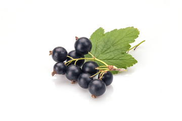 Blackcurrant in closeup isolated on white background.