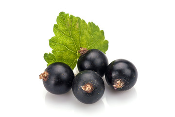 Blackcurrant in closeup isolated on white background.