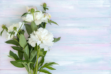 Peonies on a wooden background. Texture. Photo for social networks
