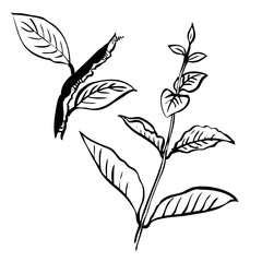grunge tree leaves and branch