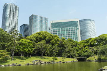Fototapeta premium 東京汐留の高層ビル群