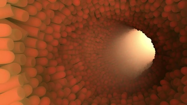 3d render background with intestinal  villi. Abstract inner body surface
