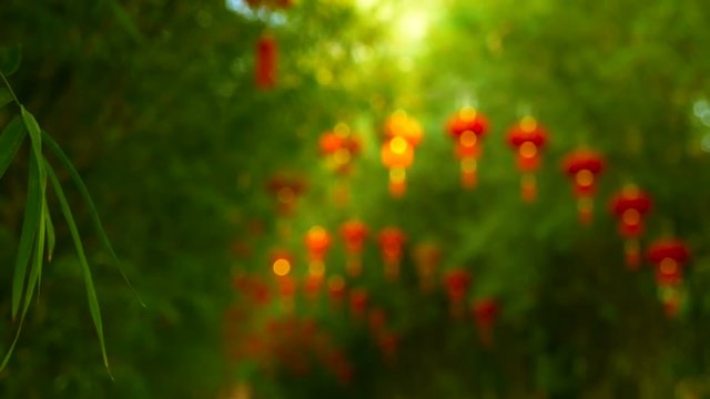 Rows of traditional chinese style red lanterns hanging on bamboo tree tunnel arch. Decoration lamps for Chinese Lunar New Year festival. Tropical oriental garden. Bamboo fresh green leaves background.