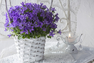 on a white background purple flowers in a white basket and a candle