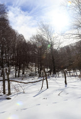 pathway mountain landscape with snow