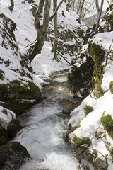 Fototapeta premium mountain river and snow in winter scene