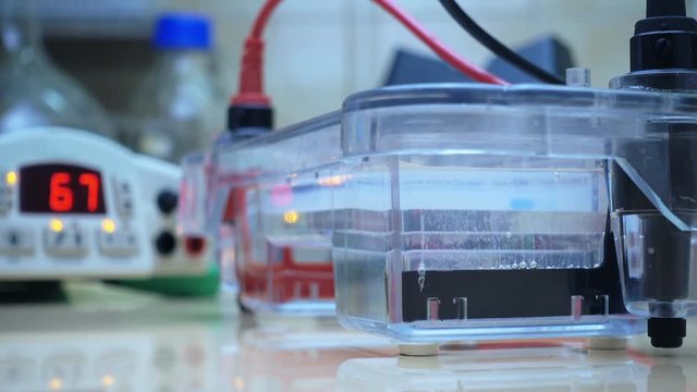 Electrophoresis of DNA in an agarose gel. Start of electrophoresis and release of gas bubbles. A close-up of the appearance of gas bubbles in the electrophoresis chamber.