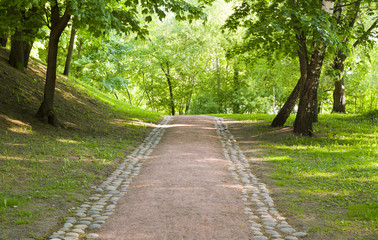 road through the forest in spring. background, nature.