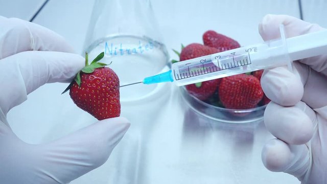 Filling the fruit with nitrates. Beware of nitrates. Strawberry is filled with nitrates with a syringe.