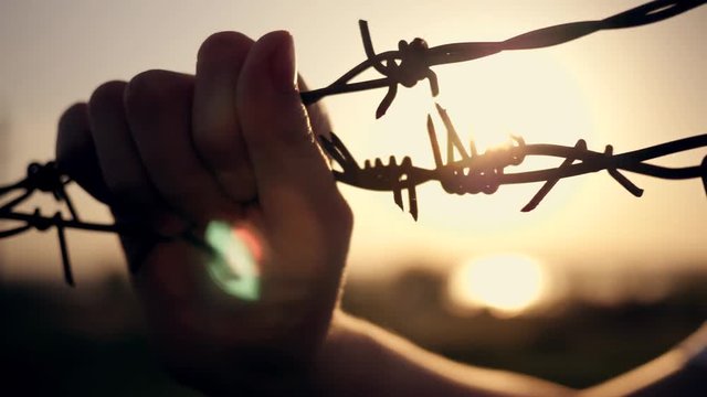 The boy is at sunset behind barbed wire. Hands holding the wire. Immigration concept. Silhouette of a child behind a fence