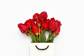 Beautiful red tulips in white paper gift bags on white background. Top View.